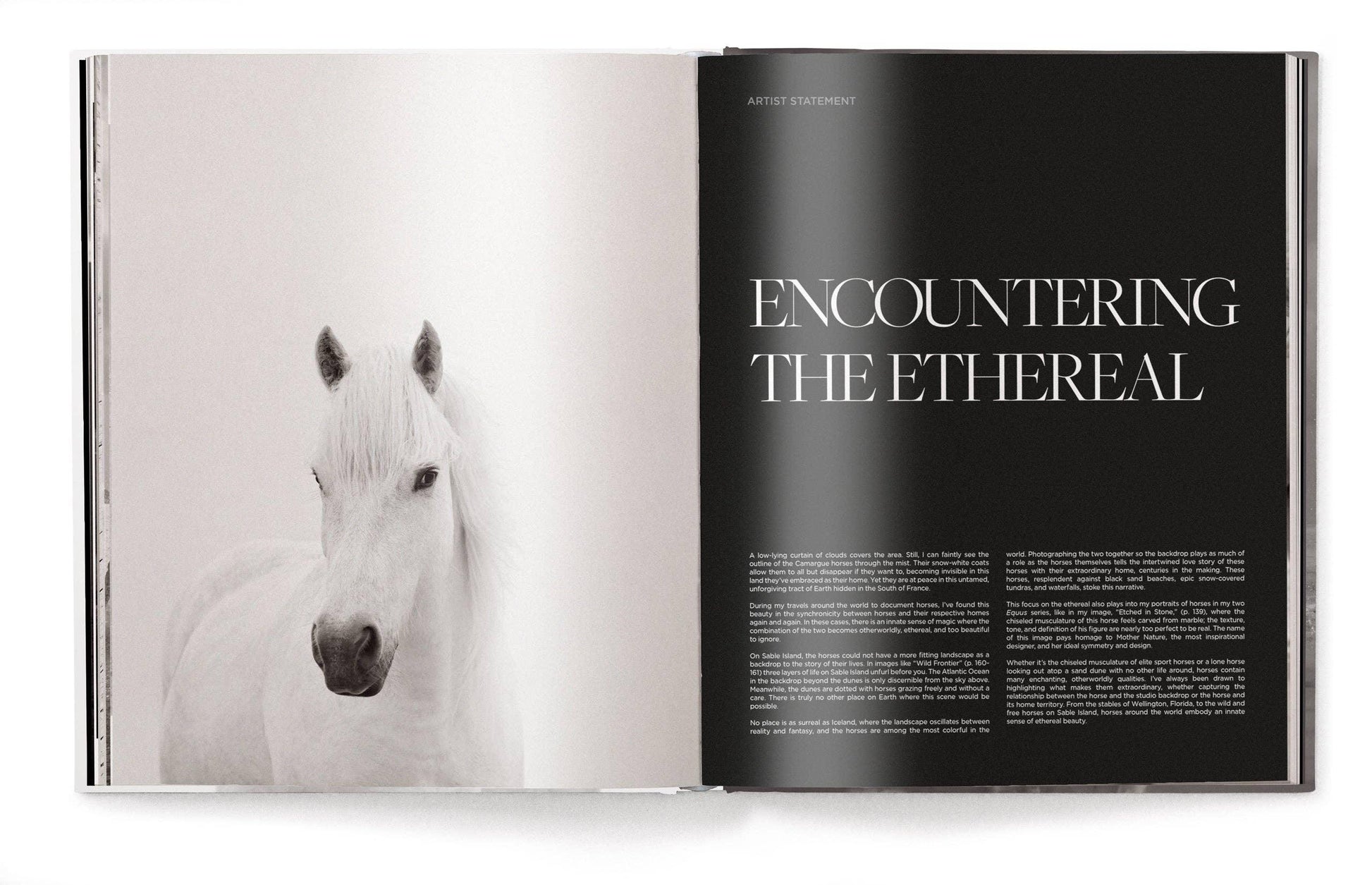 Open book with a black and white photo of a horse on the left page and text on the right page.