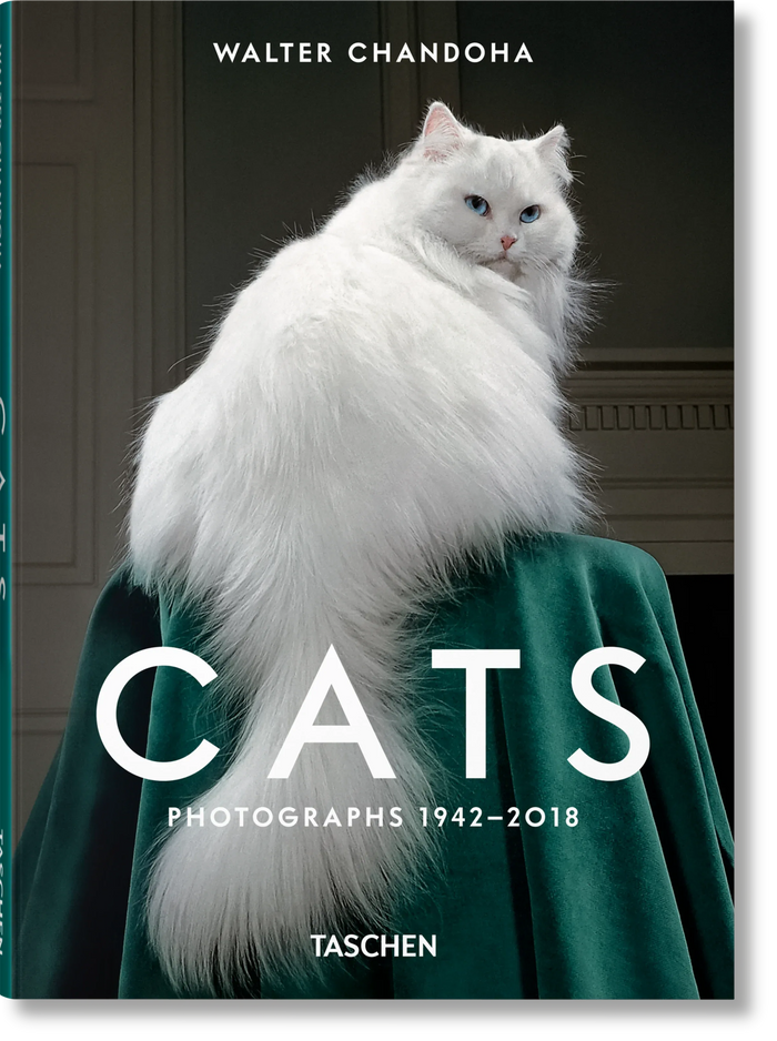 Book cover of 'Cats: Photographs 1942-2018' by Walter Chandoha featuring a white cat on a green garment.