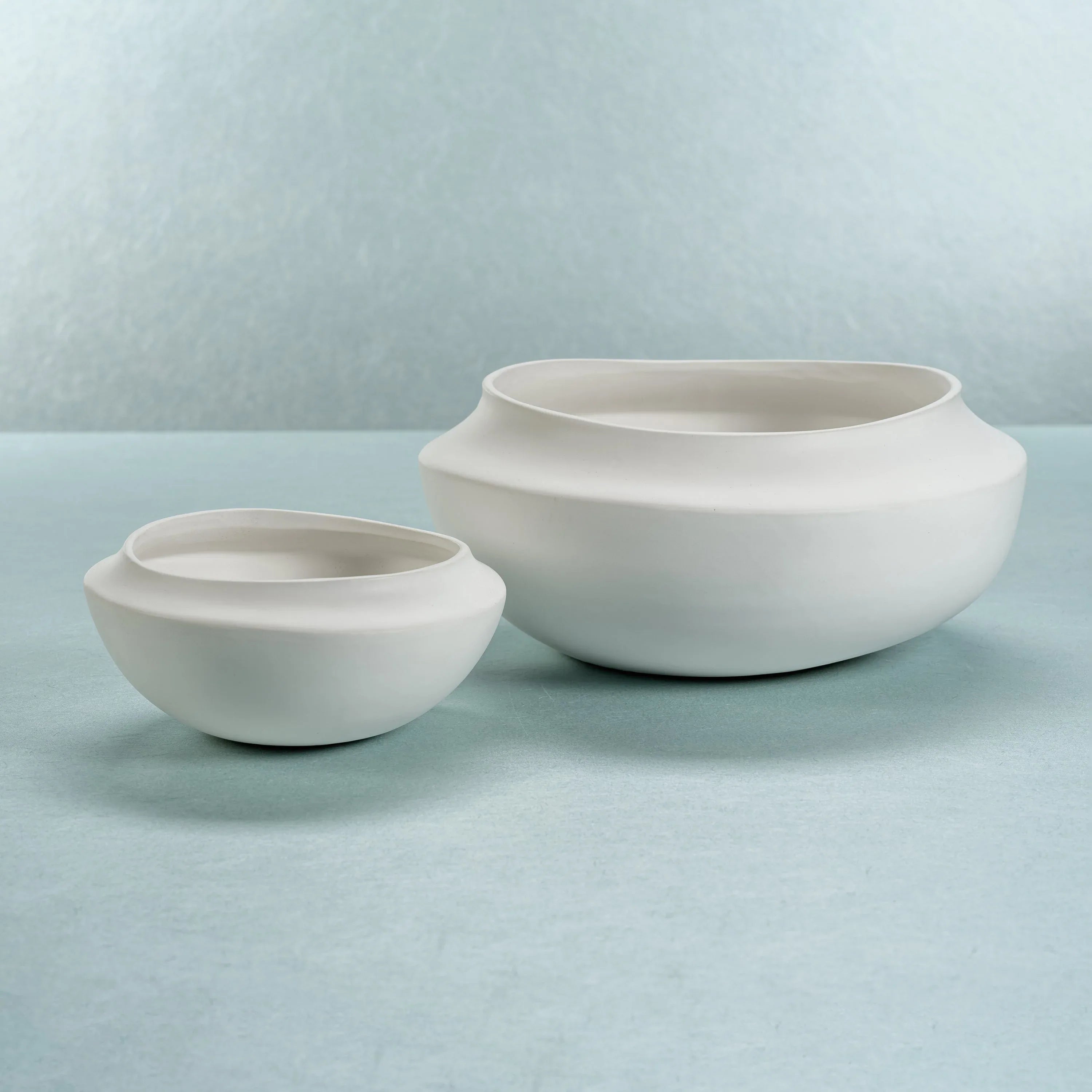 Coast Bowl Matt White Decorative Bowls