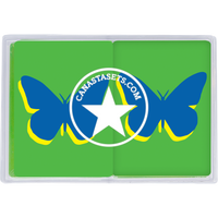 PVC playing cards BLUE BUTTERFLY
