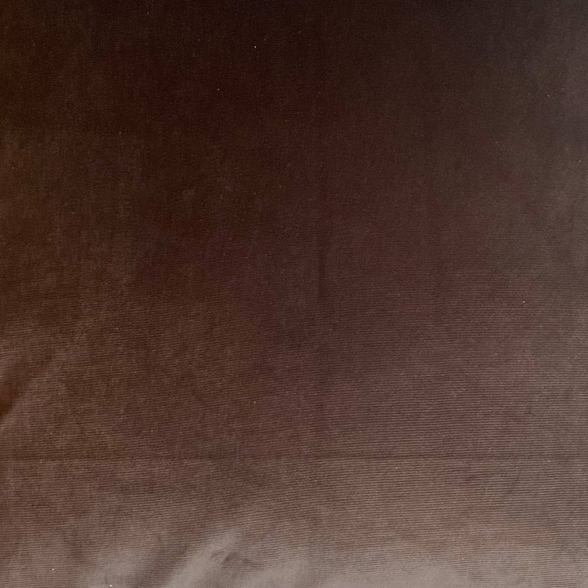 Julie Pillow