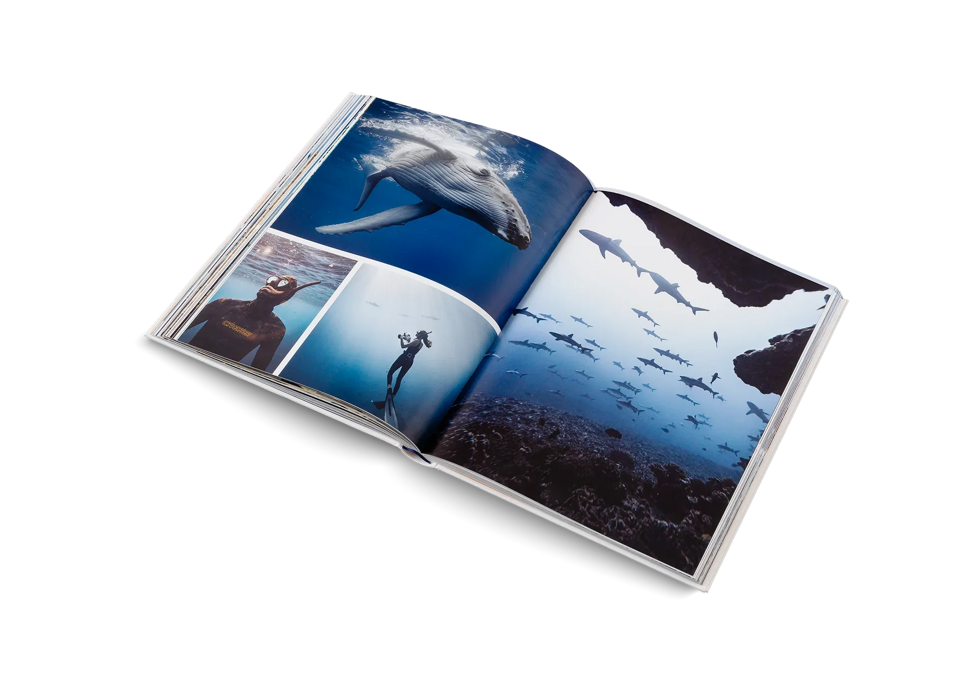Boatlife – Exploring the Freedom of Maritime Living Books