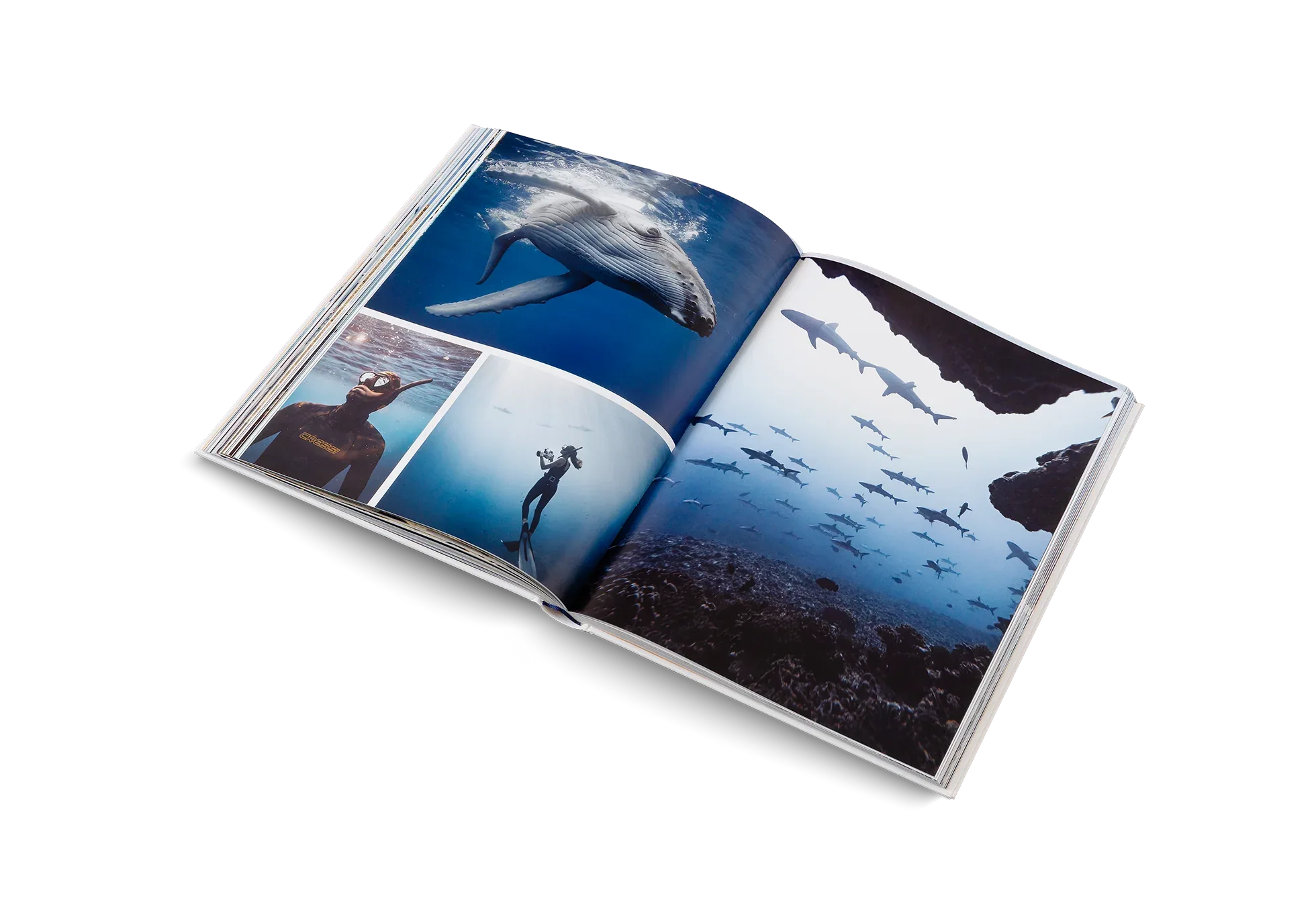Boatlife – Exploring the Freedom of Maritime Living Books