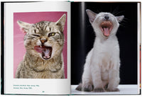 Open spread of Walter Chandoha Cats book showing vintage feline photography