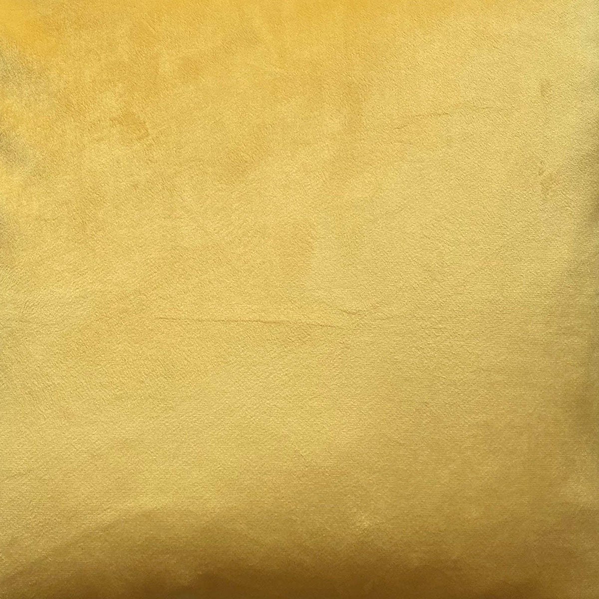 Julie Pillow