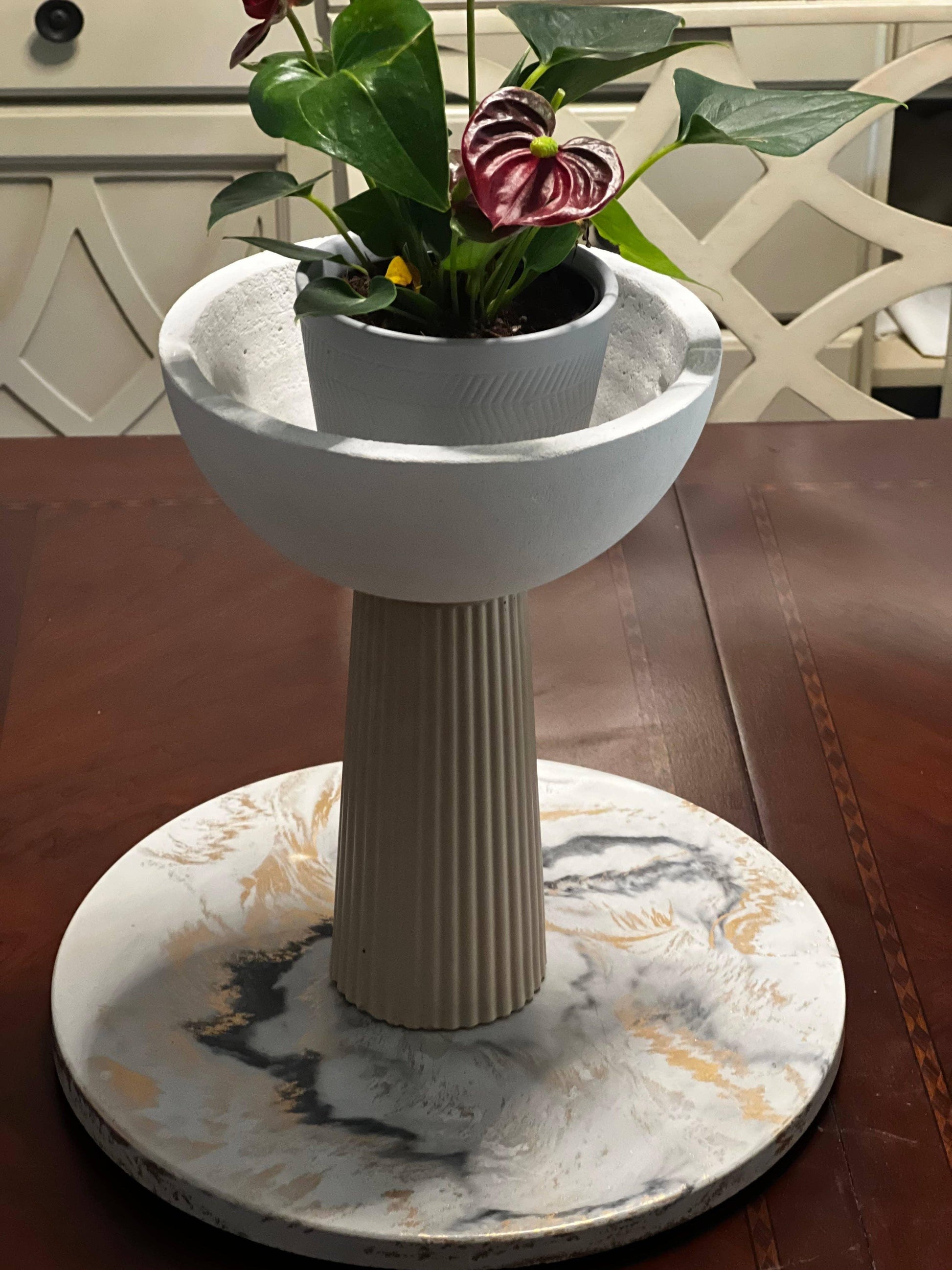 Leo Concrete Pedestal Bowl Decorative Bowls