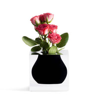 Acrylic Resin Mosco Vase in Soho Black