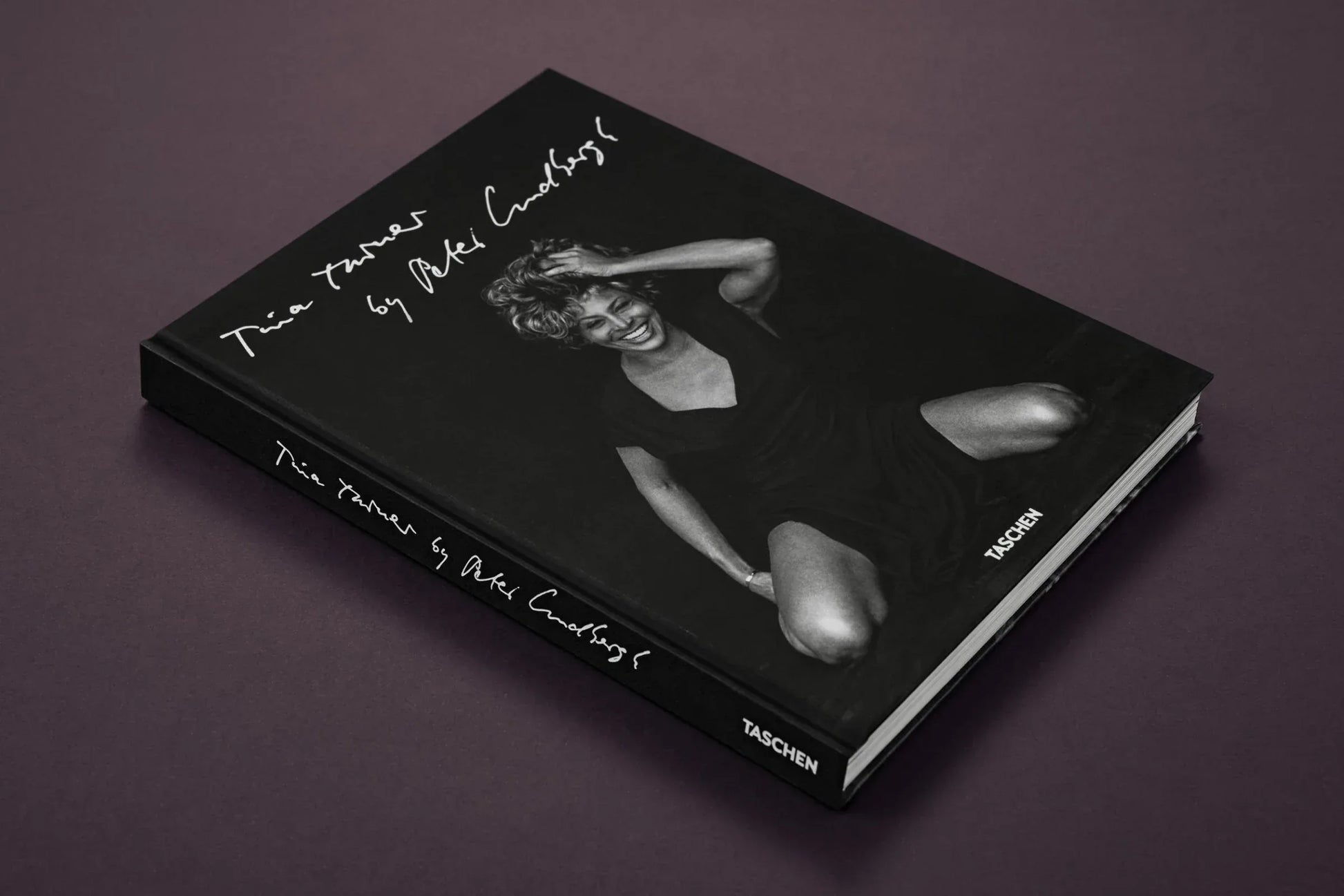 Book titled 'Two Portraits " dark background Rock and Roll Art Tina Turner