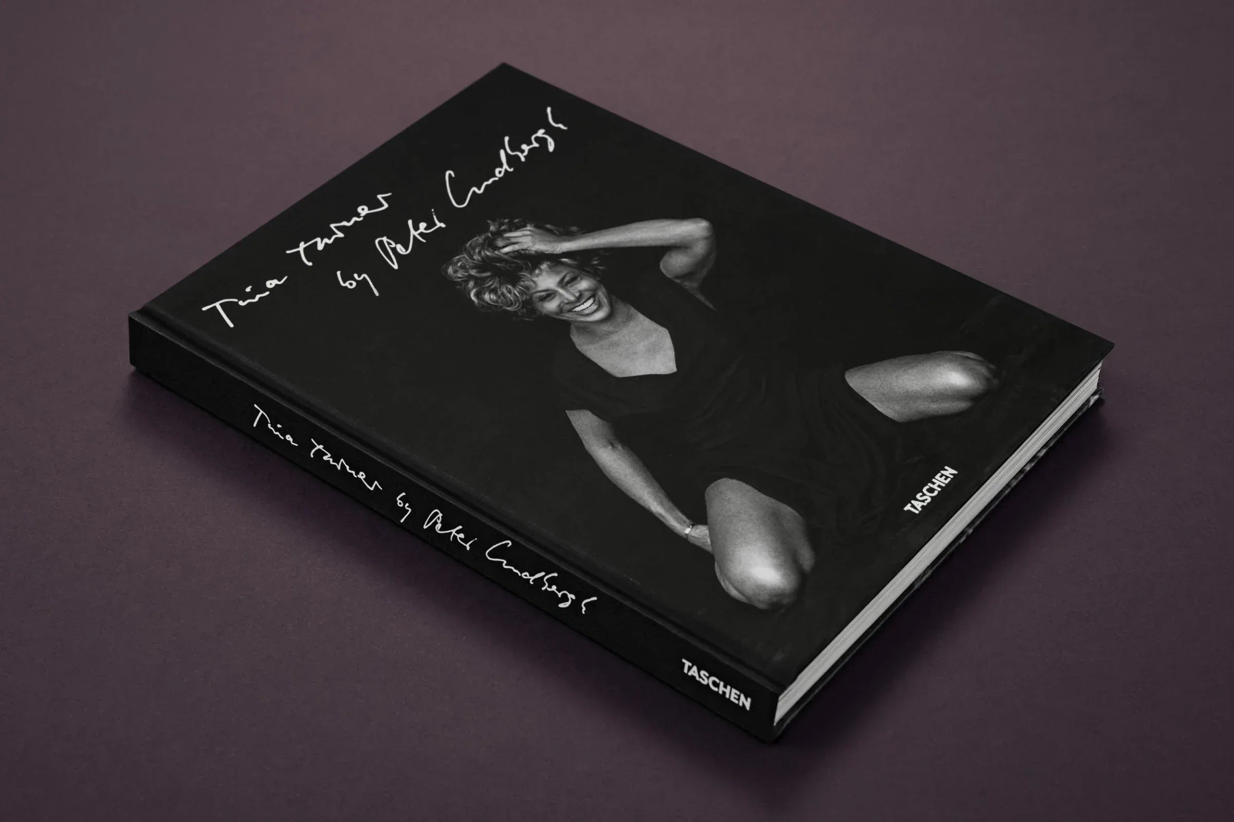 Book titled 'Two Portraits " dark background Rock and Roll Art Tina Turner